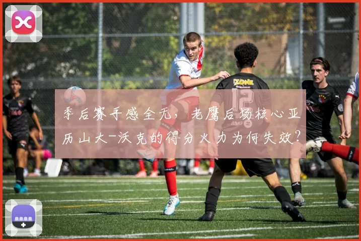 季后赛手感全无，老鹰后场核心亚历山大-沃克的得分火力为何失效？_1_NBA_尼克斯