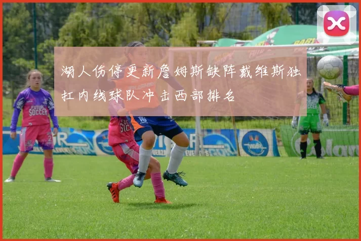 湖人伤停更新詹姆斯缺阵戴维斯独扛内线球队冲击西部排名