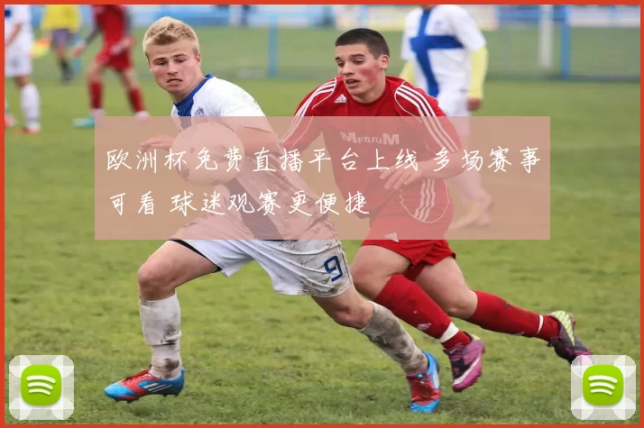 欧洲杯免费直播平台上线 多场赛事可看 球迷观赛更便捷