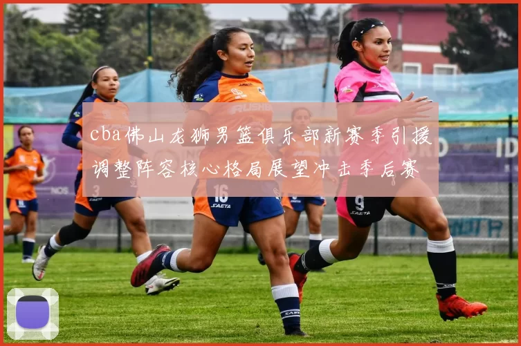 cba佛山龙狮男篮俱乐部新赛季引援调整阵容核心格局展望冲击季后赛