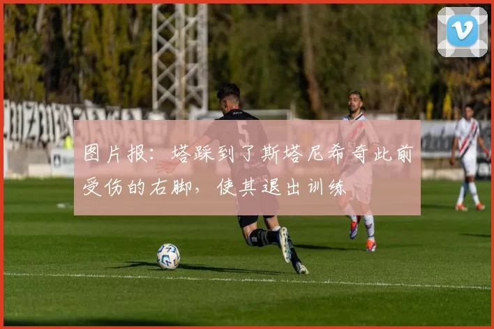 图片报：塔踩到了斯塔尼希奇此前受伤的右脚，使其退出训练
