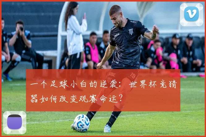 一个足球小白的逆袭：世界杯竞猜器如何改变观赛命运？