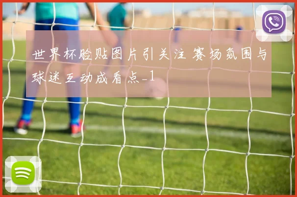 世界杯脸贴图片引关注 赛场氛围与球迷互动成看点_1