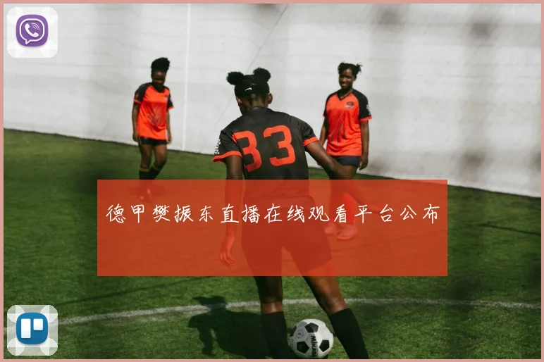 德甲樊振东直播在线观看平台公布