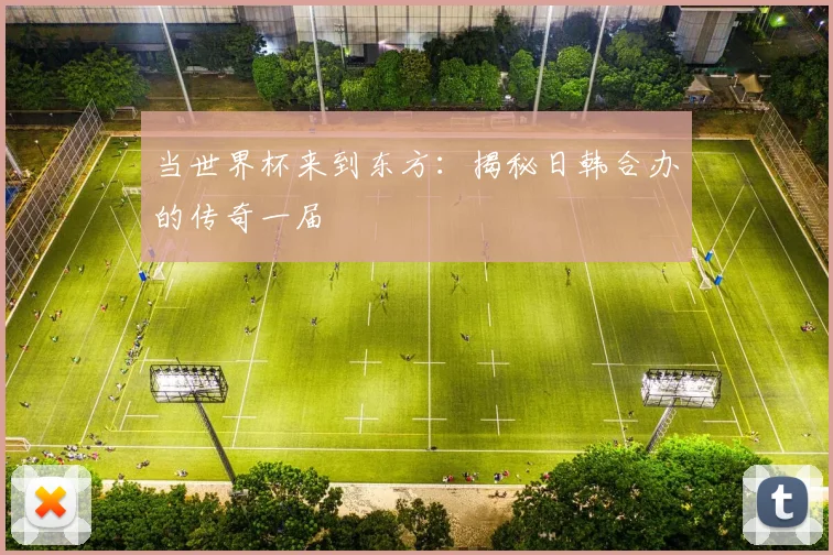 当世界杯来到东方：揭秘日韩合办的传奇一届